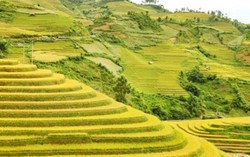 Du lịch Bắc, Trung, Nam dịp lễ 2/9 đều hút khách