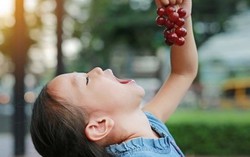 8 loại trái cây và rau củ màu tím nên ăn hàng ngày