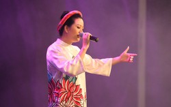 Đinh Hiền Anh cùng các nghệ sĩ kêu gọi hơn 300 triệu ủng hộ khắc phục sự cố cháy rừng