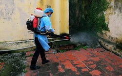 Cách phòng căn bệnh khiến 60.000 người mắc và 15 ca tử vong