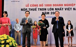 Nestlé Việt Nam lọt top các doanh nghiệp nộp thuế nhiều nhất