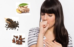 Trị những cơn ho hiệu quả bằng dược liệu tự nhiên, dễ tìm