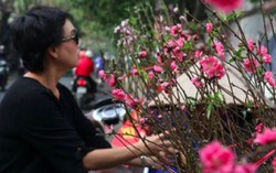 Thủ tướng chốt phương án nghỉ Tết Nguyên đán Kỷ Hợi 9 ngày