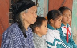Những cánh chim non lạc mẹ