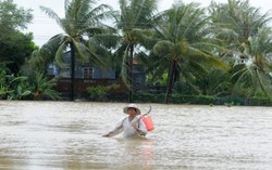 Mưa lũ ở miền Trung, rủi ro thiên tai cấp 3
