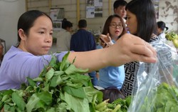 Thứ 6 đi chợ phiên Tâm Dân mua thực phẩm sạch