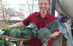 Muốn nhiều rau sạch mỗi ngày phải bắt lưng chậu sâu