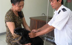 56 người tử vong do chó dại cắn từ đầu năm đến nay