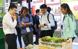 Nông sản Vineco gây ấn tượng tại Hội chợ Thaifex 2018