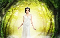 Triển lãm cưới 2016 "Sắc màu tình yêu"