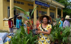 Hội LHPN Đồng Tháp với việc đổi mới công tác vận động, tập hợp phụ nữ