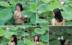 Khỏa thân ở đầm sen, cô gái bị cư dân mạng chê dung tục, mất vệ sinh 