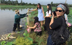 Vui sống nữ tính trong 'Những chuyến xe đàn bà'