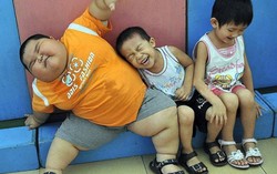 4 nguy cơ dễ khiến trẻ béo phì