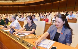 Quốc hội giám sát tối cao 'Việc thực hiện chính sách, pháp luật về phòng, chống xâm hại trẻ em'