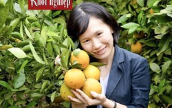 Dù có sạt nghiệp vì cam cũng không ân hận