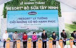 Có gì bên trong 'resort' cho bò hơn ngàn tỷ của Vinamilk ở Tây Ninh?