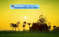 'Cánh chim lạc trở về' qua giọng đọc Trúc Đào