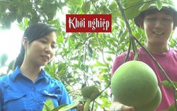 Hỗ trợ vốn lên tới 1 tỷ đồng cho thanh niên nông thôn khởi nghiệp sáng tạo