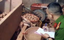 Trộn đất đỏ ‘lên đời’ cho khoai tây Trung Quốc ngay tại Chợ Nông sản Đà Lạt