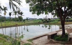 Mẹ ngất lịm khi 2 con tử vong thương tâm ở bể bơi giếng làng