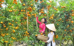 Hàng loạt dự án nông nghiệp lớn đầu tư vào Đồng Tháp