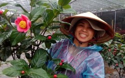 Hoa Phụng Công đắt hàng ngày sát Tết 