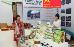 Dự kiến miễn giảm thuế thu nhập cho doanh nghiệp nhỏ và vừa