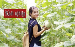 Nếu chưa có tiền tỉ, khoan làm nông nghiệp sạch