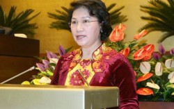 Những kỳ vọng từ nữ Chủ tịch Quốc hội đầu tiên