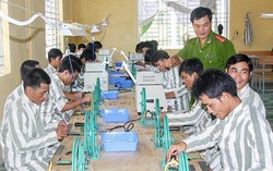 Hỗ trợ người chấp hành xong án phạt tù tái hòa nhập cộng đồng