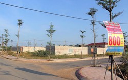 Thị trường bất động sản TPHCM: Giá đất nền, nhà phố 'nhảy múa'