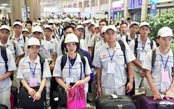4 tỉnh, thành phố đã ký kết đưa người đi làm việc thời vụ tại Hàn Quốc