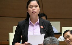 ĐBQH ủng hộ giảm giờ làm việc chính thức, nhưng cần có lộ trình