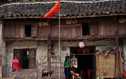Phía sau đuôi ngựa
