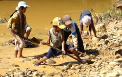 Con số biết nói về lao động trẻ em