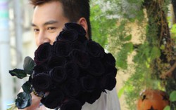 Quà tặng 8/3: Hồng đen 200.000đ/bông