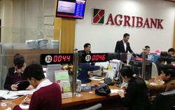 Moody’s đánh giá tích cực đối với Agribank