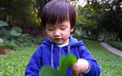 Chính cha mẹ nuôi dưỡng sự vô ơn trong con