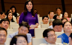 5 năm kinh nghiệm mới được bổ nhiệm hiệu trưởng đại học là quy định lạc hậu