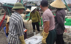 Ngư dân Nghệ An ra khơi trúng đậm ‘lộc biển’ 