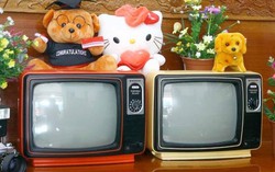 Hoài niệm về 'thời huy hoàng' của tivi đen trắng