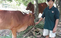 Quĩ, phí oằn vai: Hộ nghèo khó cũng bị xã bắt bò