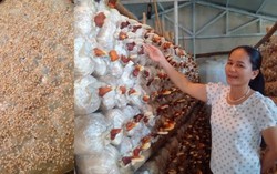 Nhóm chị em quyết loại thực phẩm bẩn