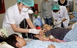 Đỉnh của dịch, số ca nhập viện do sốt xuất huyết tăng nhanh