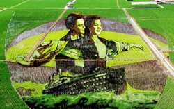 Khoảnh khắc phụ nữ 7 ngày