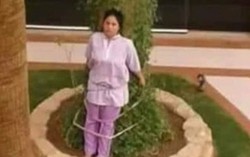 Nữ giúp việc bị trói vào cây vì để quên đồ ngoài trời