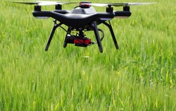 Robot thu hoạch thay nông dân