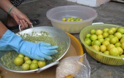 Làm chanh muối thu 2 tỷ/năm