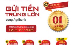 'Gửi tiền trúng lớn cùng Agribank'- Món quà xuân, nhân lên niềm vui đầu năm Kỷ Hợi